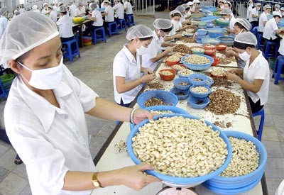 Most employers expect to have stable job(Photo: SGGP) Most employers expect to have stable job(Photo: SGGP)